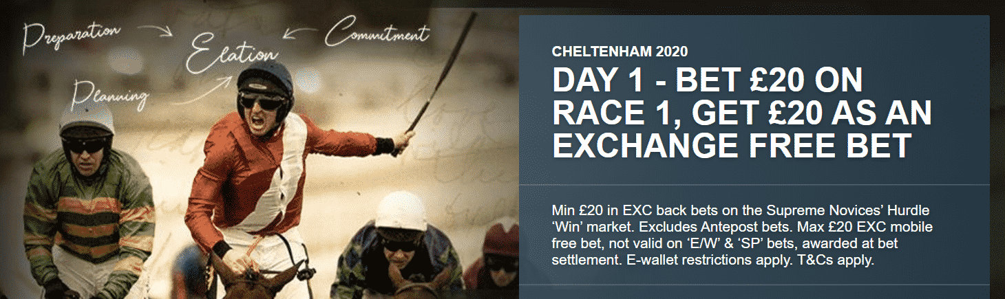 Banner showing the Betfair Exchange offer on the Supreme Novices Hurdle 2020