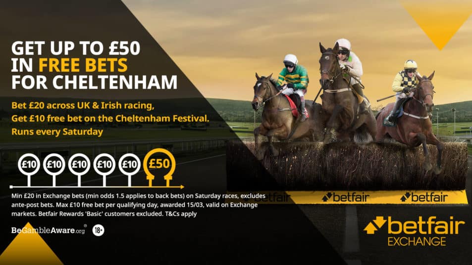 Banner for the Betfair Exchange 'Race To Cheltenham' offer.